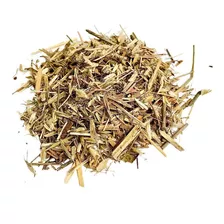 Capim Andropogon -3kg De Sementes Para Solos Fracos