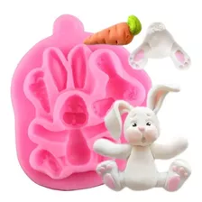 Molde De Silicone Coelho Pascoa 3d Cenoura