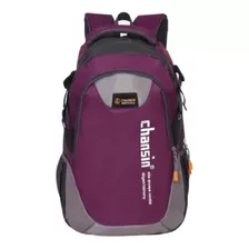 Mochila Chansin Laptop +15,6 +peso 0.59 Kg +morado