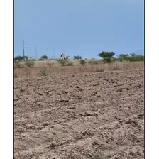 1500 Hectáreas En Venta Irapuato