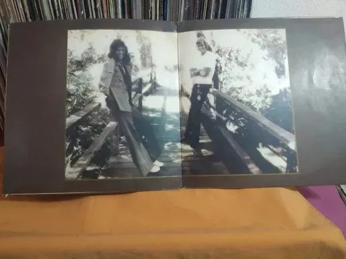 Carpenters - The Singles 1969-1973 - vinilo 1974