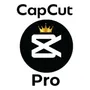 Segunda imagen para búsqueda de capcut