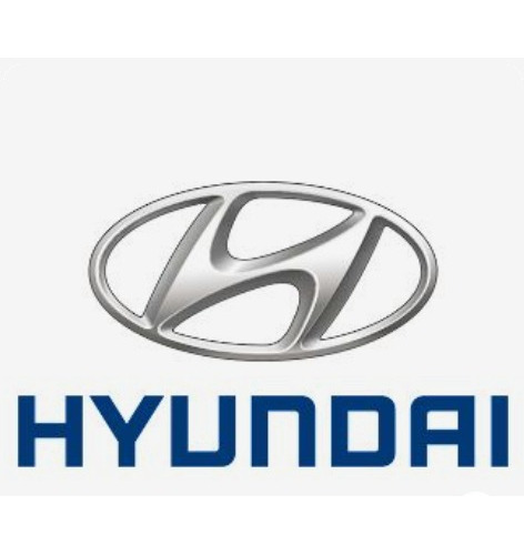 Polea Alternador Hyundai Elantra, Trajet Xg, Santa Fe Foto 4