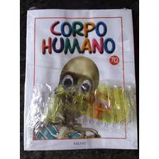 Corpo Humano Fasciculo 70 - Novo Lacrado Com A Peça - Salvat