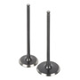 1 Pack Soportes Goma Escape Cavalier L4 2.2l 95/05 S Star