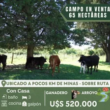 Campo De 65 Hectáreas A Pocos Km De Ciudad De Minas. Por Ruta. Ganadero 