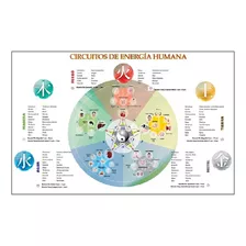 Circuitos De Energía Humana