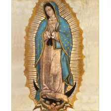 Lienzografia De La Virgen De Guadalupe