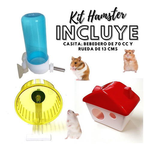 Kit Casa Casita Bebedero Rueda De Hamster Topo Ruso Elpe En Venta En Rosario Santa Fe Por Solo 1 140 00 Ocompra Com Argentina Kit Casa Casita Bebedero Rueda De Hamster Topo Ruso Elpe En Venta En Rosario Santa Fe Por Solo 1 140 00 Ocompra Com Argentina