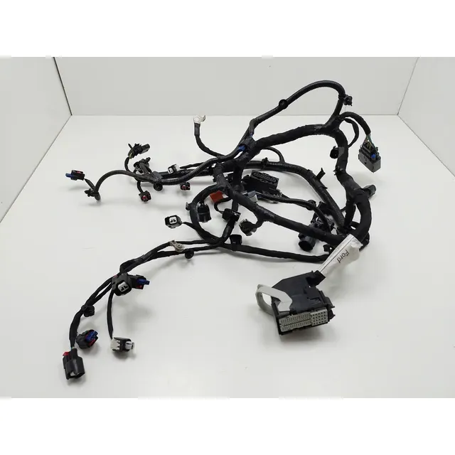 Chicote Do Motor Injeção Ford Ecosport 1.5 2020 5