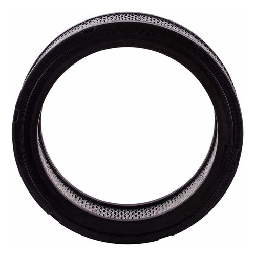 Filtro De Aire Pg Pa103 | Se Adapta A 1976-79 Buick Opel Foto 3