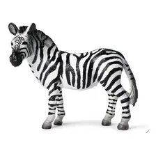 Miniatura Animal Zebra Reticulada Adulto Africa Floresta