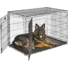 Midwest Homes Double Door Dog Crate 48-inch W/divider