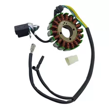 Bobina Stator Ak Ttr180 Ttx Cr5 18 Núcleos Genuine