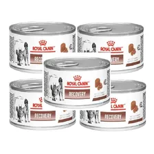 Royal Canin 5 Latas Recovery Para Cães E Gatos Pett