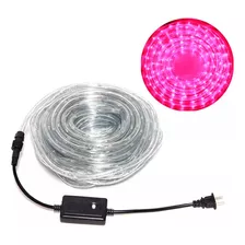 Manguera Rollo Tira Led 10 Mts Fucsia Rosado + Controlador