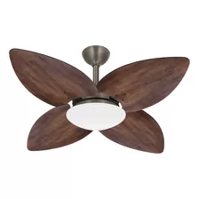 Ventilador Teto Bronze Winds Turbo 4 Pás Imbuia Ventax 110v