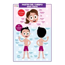 Cuerpo Humano Y 5 Sentidos Poster