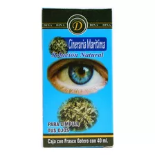 Cineraria Maritima 40 Ml-dina Sabor Sin Sabor