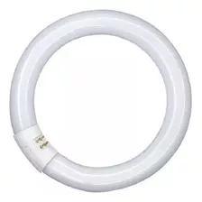 Tubo Circular 22w