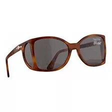 Gafas De Sol - Persol 0005-s Sunglasses Terra Di Siena W-gr