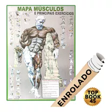 Mapa Músculo Exercício Academia Treino Corpo Humano Enrolado