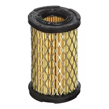 Filtro De Aire - Tecumseh 35066 Air Filter (limited Edition)