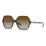 Bvlgari Bv8238b 504/t5 Square Havana Brown Gradient