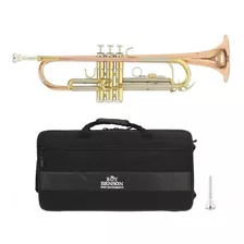 Roy Benson Tr-202g Trompeta Bb Con Estuche Incluido 