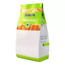 Base Para Sorvete Tropical Cupuacu Selecta Pacote 1kg