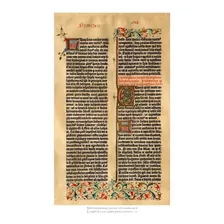 Lienzo Pág. Latín Biblia Gutenberg 1455 Evangelio San Lucas