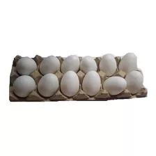 Huevos Gallina Falsos Inproagro - Unidad a $3042