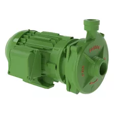 Motobomba Centrífuga Fgn-2 4cv Motor I P 55 Weg Trif Famac Cor Verde Fase Elétrica Trifásica 220v/380v Trifásico