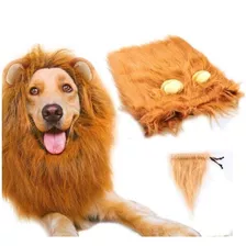 Traje Peluca Leon Para Perro 100% Nuevo Halloween Xtr C