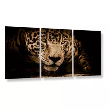 Quadros Decorativos 3 Peças Onça Pintada Amazonia