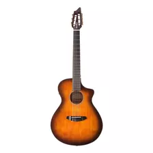 Guitarra Electro Clásica Dsn21ceo Nylon Breedlove Discovery