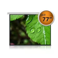 Pantalla Para Proyección De 77'' 16:9 De Colgar Y Retráctil