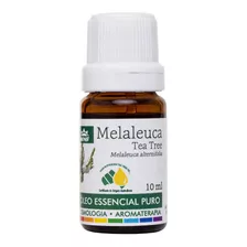 Óleo Essencial Melaleuca Tea Tree Para Difusor Wnf 100% Puro