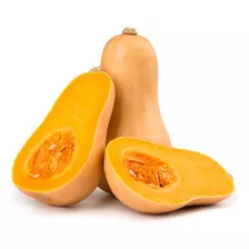 Semillas Zapallo Butternut Gourmet Mas De 50 Semilla Siembra