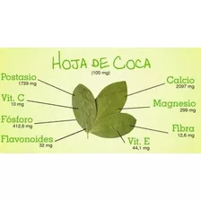 H.o.j.a De Coca Té/coquear Nat.