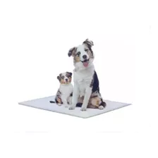 10 Tapetes Absorbentes Entrenamiento Mascota Perros Cachorro