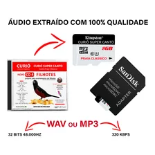 Cartão De Memória - Curió Praia Clássico Cd 4 Filhotes