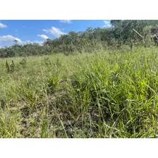 Linda E Bem Localizada Fazenda Venda 11 Km Da Br 259 Gouvei