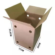 Caixa De Papelão Para 50 Picolé (100 Unidades)