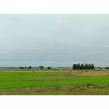 Chacra De 3 Hectáreas Alambrado Y Portera Nueva, San Jacinto