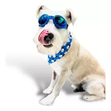 Gafas Para Perros Medianos