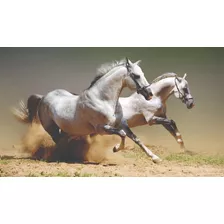 Adesiv Decoração Cavalos Brancos Lindos Sítio Fazenda