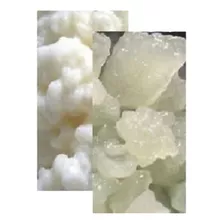 Kefir De Água + Kefir De Leite + Instruções ( Tag Iogurte )