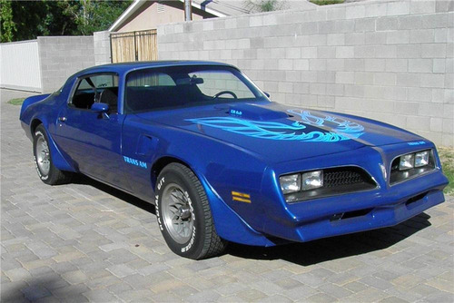 70-81 Pontiac Trans Am Firebird Manija Exterior Izquierda Foto 6