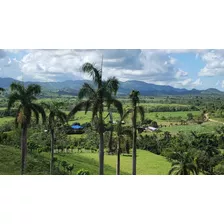 Se Vende Finca En Las Laguna De Nisibon